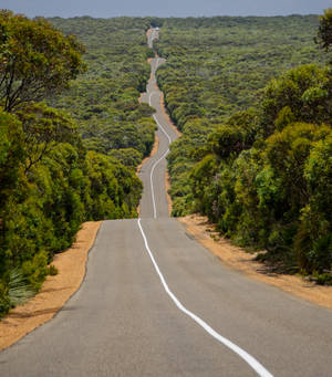 Highway 1 i Australia bakgrunnsbilde — Vivo X Fold3 Pro Bakgrunner