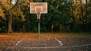 Utendørs basketballbane dekket av høstløv i den gylne timen. — Basketball GIF Bakgrunner