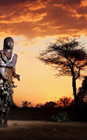 African Phone — Tecno Megapad SE Bakgrunner