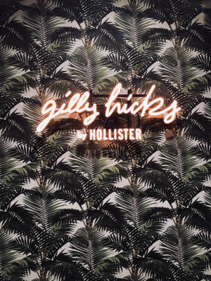 Hollister palmeblader bakgrunnsbilde — 3:4 Bakgrunner