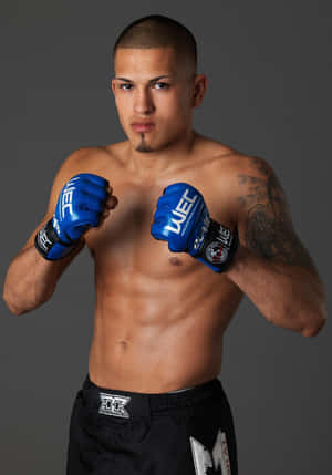 Hot Latino UFC-utøver Anthony Pettis — Vivo Pad5 Bakgrunner