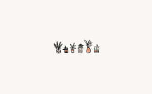 Estetisk hvit bakgrunn — Hvit estetikk Bakgrunner