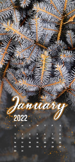 Bakgrunnsbilde med hvitt furutre i januar 2022 — iPhone 16 Bakgrunner