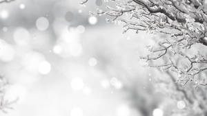 Hvit jul i vinter bakgrunnsbilde