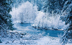 Hvit vinter ved elvebredden bakgrunn — Vinter Bakgrunner