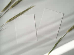 papirbakgrunn — Hvit estetikk Bakgrunner