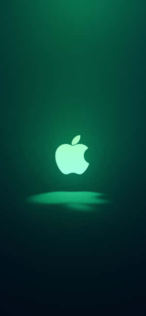 iPhone 11 Grønn — Pixel 8 Bakgrunner