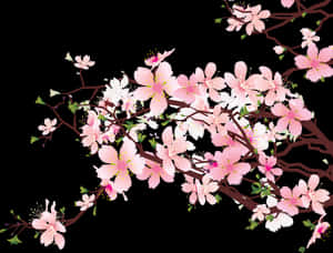 Japansk blomstrende kirsebær Png-klipp - Kirsebærblomster uten bakgrunn, gjennomsiktig Png