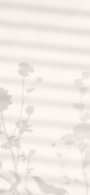 Minimalistisk iPhone X-bakgrunn — RedMagic Bakgrunner