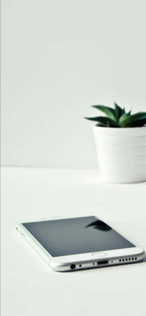 Iphone X Skrivebordsbakgrunn — Samsung S21 Ultra Bakgrunner