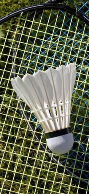 Iphone Xs Badminton Bakgrunn — 19.5:9 Bakgrunner