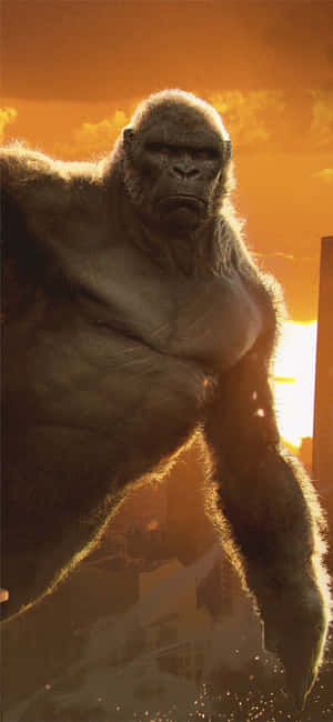 Iphone Xs Max Gorilla Bakgrunn — Honor X80 Pro Max Bakgrunner