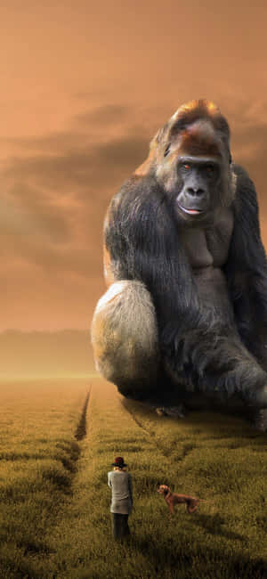 Iphone Xs Max Gorilla Bakgrunn — Realme C Bakgrunner