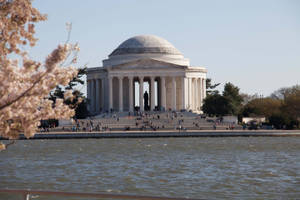 Jefferson Memorial Traveldag — Kirsebærblomst Bakgrunner