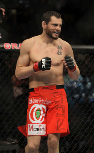 Jon Fitch stående i buret UFC 141 — Pixel Tablet Bakgrunner