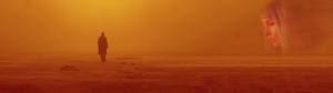 Offiser K og Joi Blade Runner 2049 bakgrunn — 5120x1440 Bakgrunner