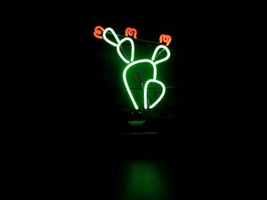 Kaktusblomster Neon Grønn Estetikk — Neongrønn estetikk Bakgrunner