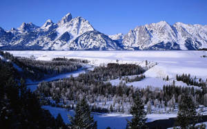 Kald Grand Teton nasjonalpark bakgrunnsbilde — Kald Bakgrunner