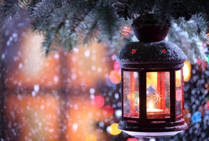 Bakgrunnsbilde av kald julelyktedekorasjon — Kald Bakgrunner