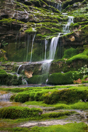 Kentucky Naturlandskap — Xiaomi Pad 8 Pro Bakgrunner