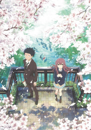 Bakgrunnsbilde av par, kirsebærblomster og dam fra A Silent Voice — OnePlus Pad 3 Pro Bakgrunner