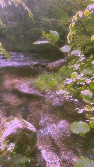Fairy Aesthetic-bakgrunn — Heksete estetikk GIF Bakgrunner