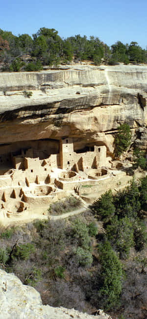 Cliff Palace Tan Color Mesa Verde National Park — Vivo X300 Ultra Bakgrunner
