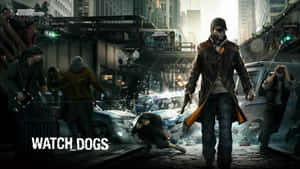 Sleeping Dogs-bakgrunn — Sleeping dogs Bakgrunner