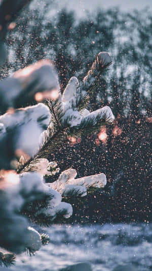 Koselig vinter Tumblr — Tumblr estetikk Bakgrunner