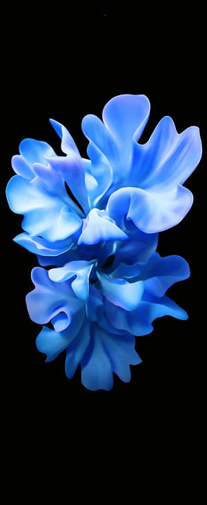 Krystallblå blomst for Samsung S20 FE — Motorola Razr Bakgrunner
