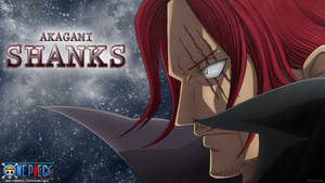 Kul Akagami Shanks One Piece — One piece 4K GIF Bakgrunner