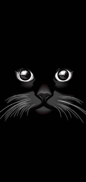 Kul svart katt — Samsung S23 Bakgrunner