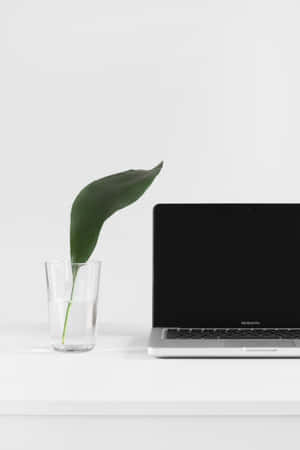Datamaskin bakgrunn — Honor Pad GT2 Pro Bakgrunner
