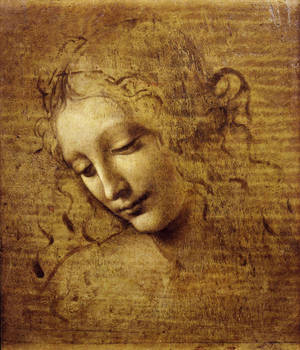 Leonardo Da Vinci Kvinnehode Maleri bakgrunnsbilde — Galaxy Z Fold Bakgrunner