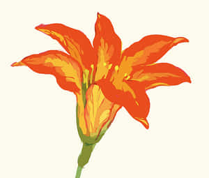 Levende oransje blomsterillustrasjon
