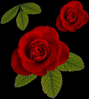 Rose PNG-fil - Rose og blad PNG, gjennomsiktig PNG — Rose Bakgrunner