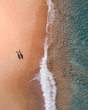 Luftfoto Bondi Beach Australia bakgrunn — iPhone 7 Bakgrunner