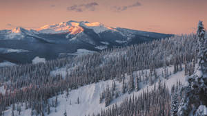 Snødekt fjellkjede i British Columbia med furutrær for MacBook Pro bakgrunn.