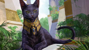 Egyptiske kattebilder — Svart katt Bakgrunner