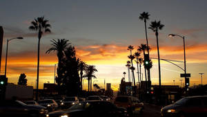 Los Angeles solnedgang ved boulevard bakgrunnsbilde — Sunset Boulevard Bakgrunner