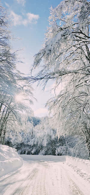 Vintereventyrland-bakgrunn — Vivo X300 Pro Bakgrunner