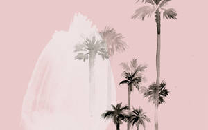 Malte California-palmer Estetisk Mac — Estetisk mac Bakgrunner