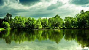 1920X1080 bilder — 1920x1080 Bakgrunner