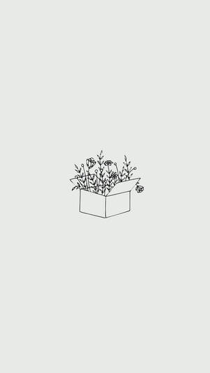 Minimalistisk estetisk boks fylt blomster pennetegning — Estetisk minimalistisk Bakgrunner