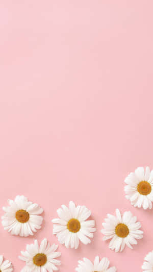 Pastellrosa bakgrunn — Pastellrosa estetikk Bakgrunner