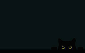 Minimalistiske svarte katt-bakgrunner — Cat Noir Bakgrunner