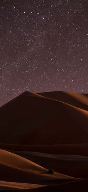 1284x2778 — iPhone 11 Pro Max Bakgrunner