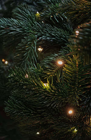Mørk julescene — Honor MagicPad4 Bakgrunner