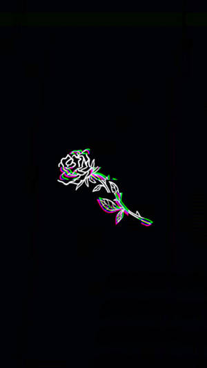 Mørk trippy rose — Mørk trippy Bakgrunner