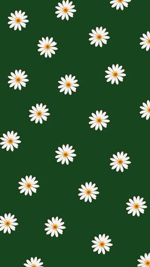 Mørkegrønne hvite blomster — Mørkegrønn Bakgrunner